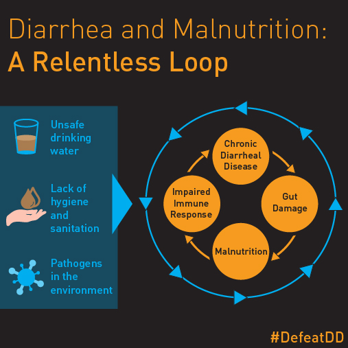 Diarrhea and malnutrition are a relentless loop