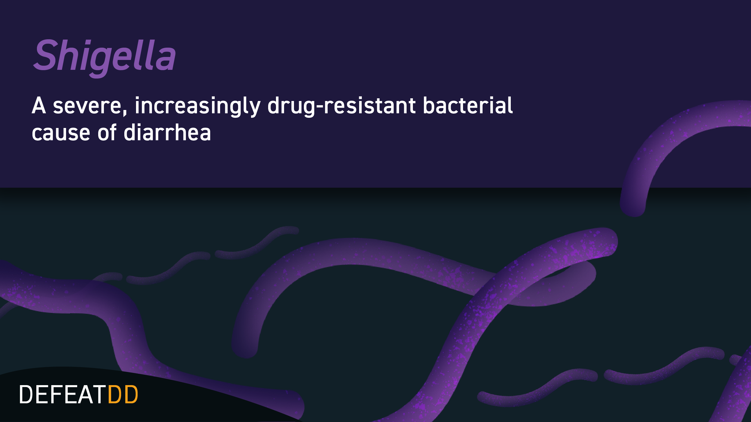 Graphic of shigella bacteria with text overlay that states, "Shigella: A severe, increasingly drug-resistant bacterial cause of diarrhea"