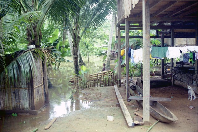 A latrine in Ecuador floods after a storm