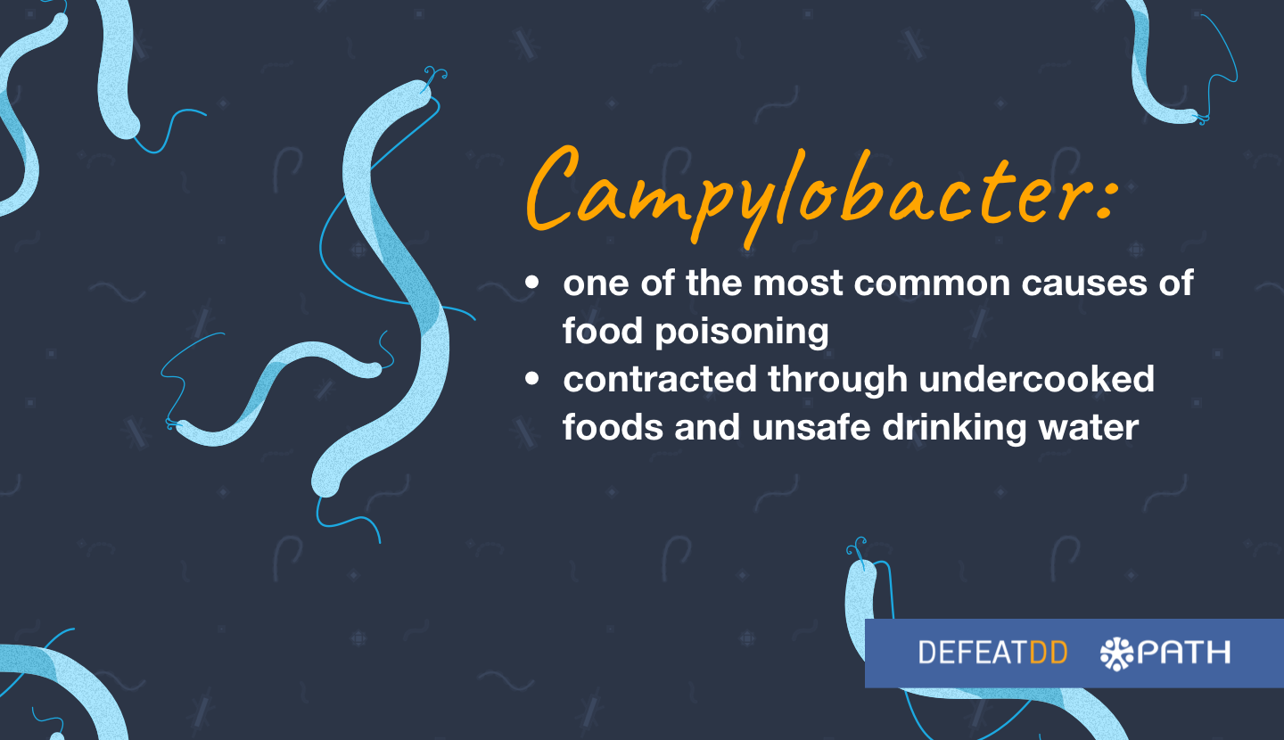 Campylobacter is one of the commonest causes of food poisoning