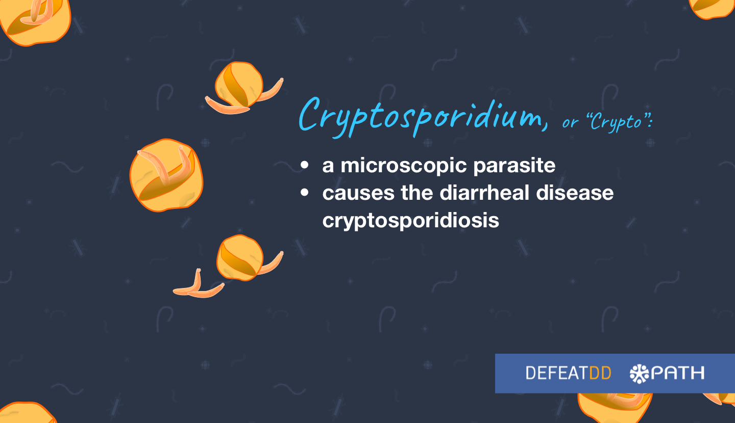 Crypto is a parasite that causes diarrhea