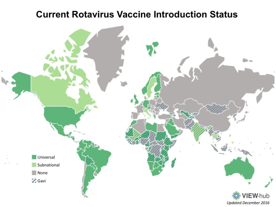 Current rotavirus vaccine introduction status