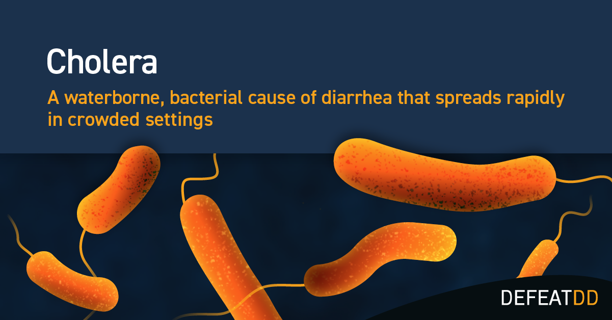 A cholera bacteria 