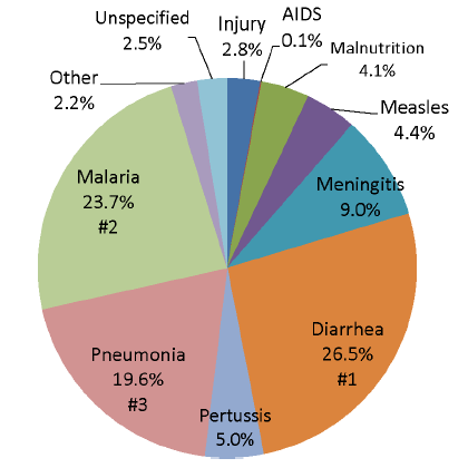 Disease burden pie chart