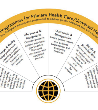 IA2030 principles and how gender integrates graphic