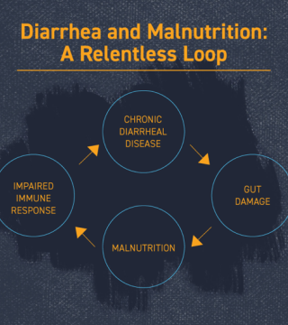 infographic: diarrhea and malnutrition